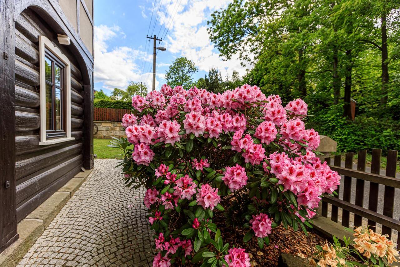 Apartmany Jozak Arnoltice u Decina ภายนอก รูปภาพ